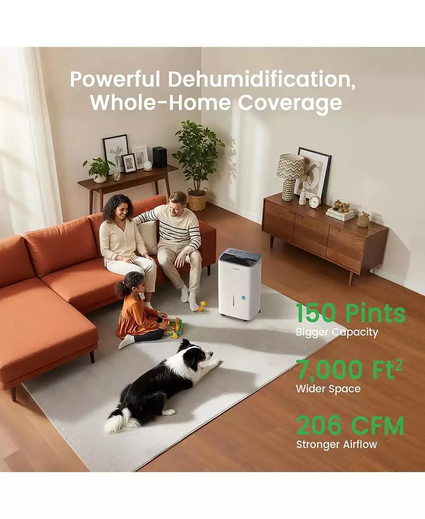 Waykar 150 Pint Energy Star Dehumidifier with Drain Hose for Home, Basement 
Large Space, 7000 Sq. Ft - intelligent Control 2