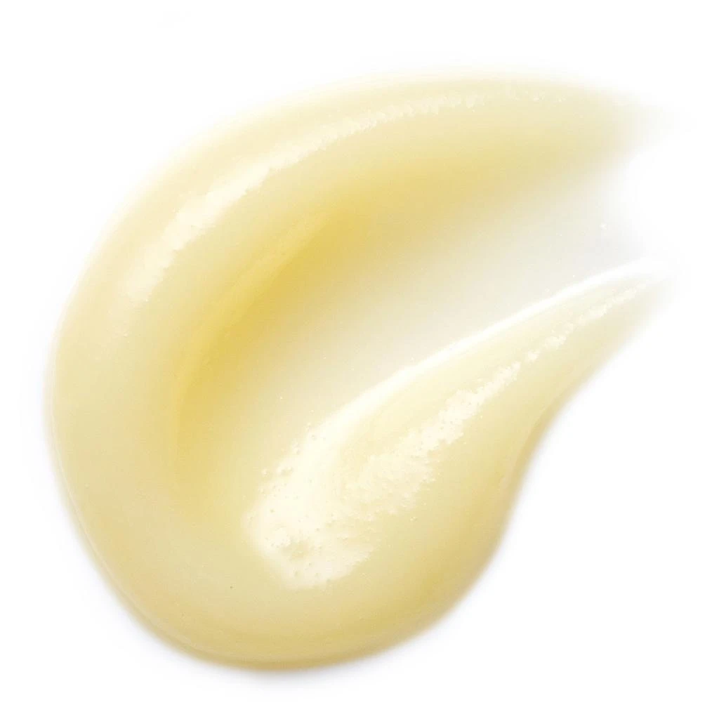 Sarah Chapman Skinesis Sarah Chapman Overnight Lip Concentrate 6.5ml 3