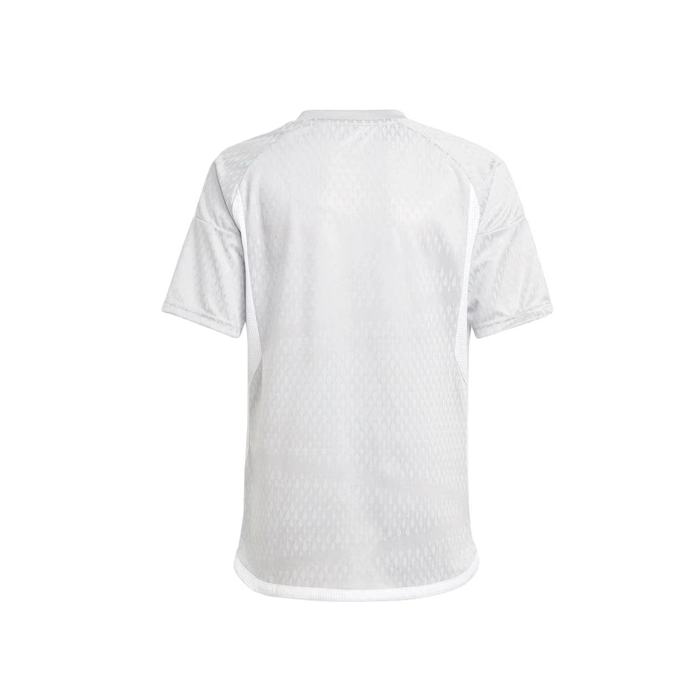 Adidas Tiro23 Competition V Neck Short Sleeve Soccer Jersey (Youth)