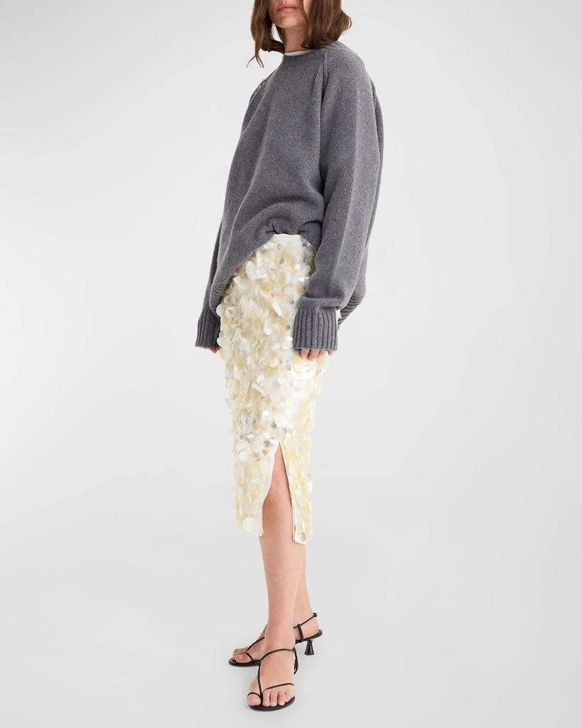 Rohe Embellished Organza Skirt 3