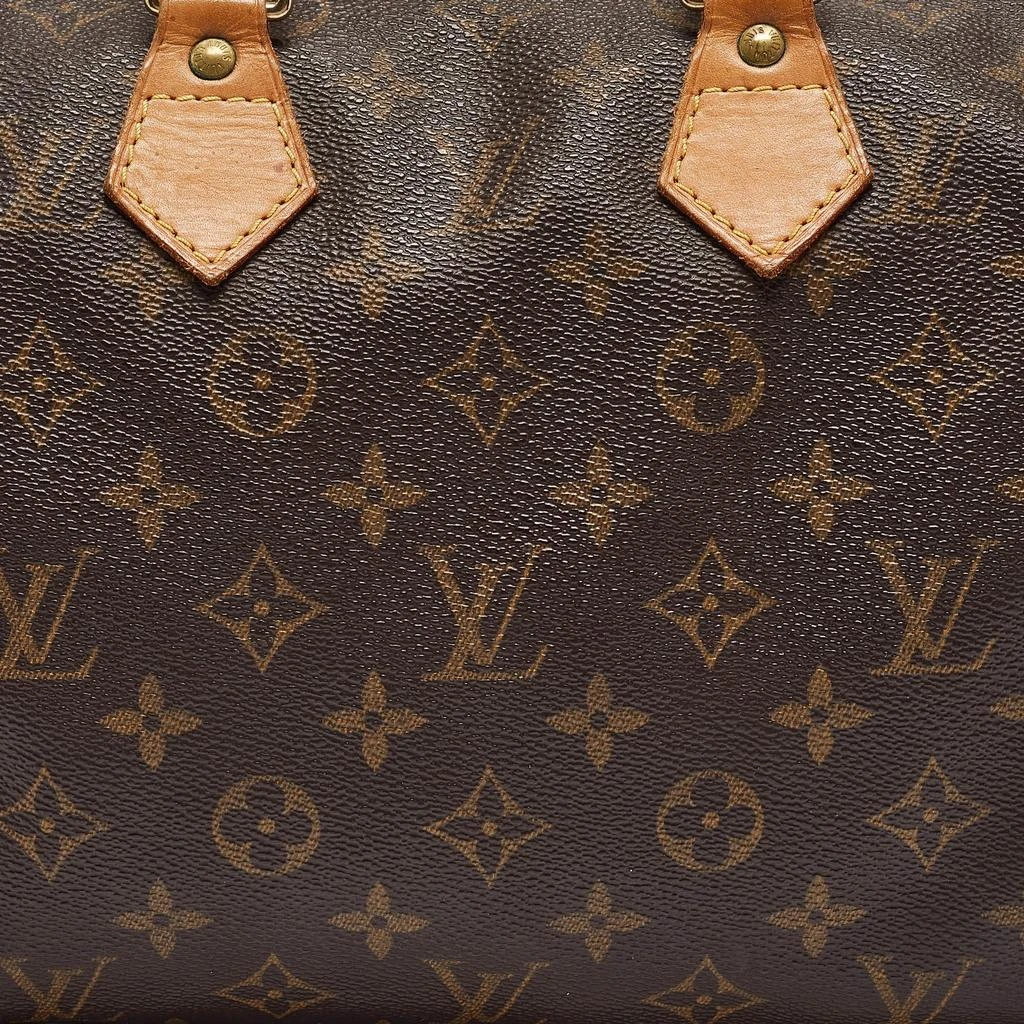Louis Vuitton Louis Vuitton Monogram Canvas and Leather Speedy 25 Bag 6