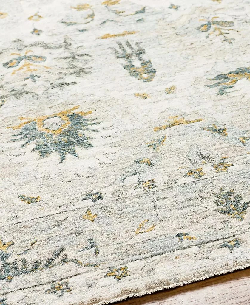 Surya Dresden DRE-2308 2' x 3' Area Rug 3