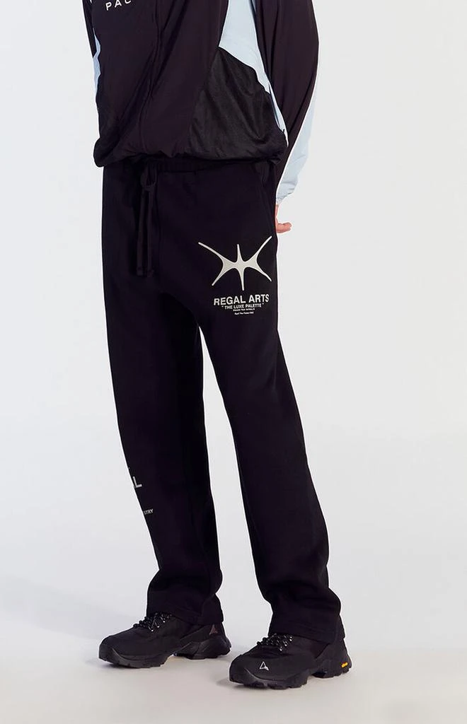 PacSun Regal Arts Baggy Sweatpants 3