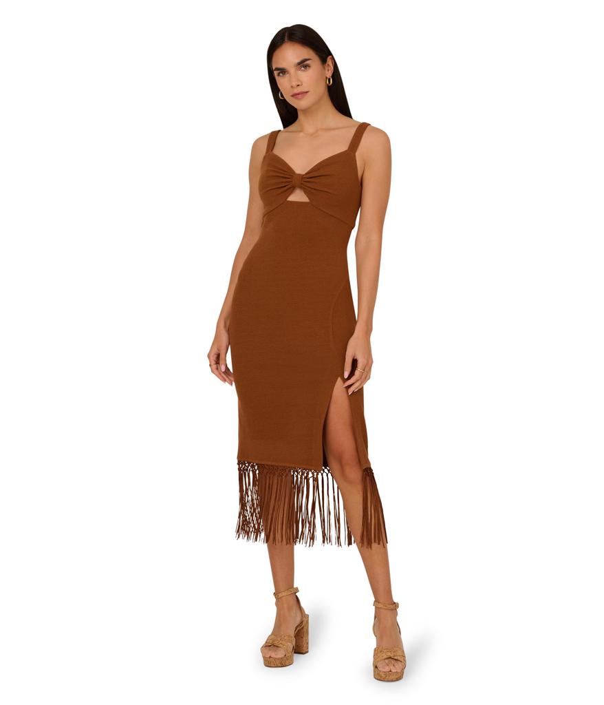 Adrianna Papell Knit Fringe Trim Midi Dress