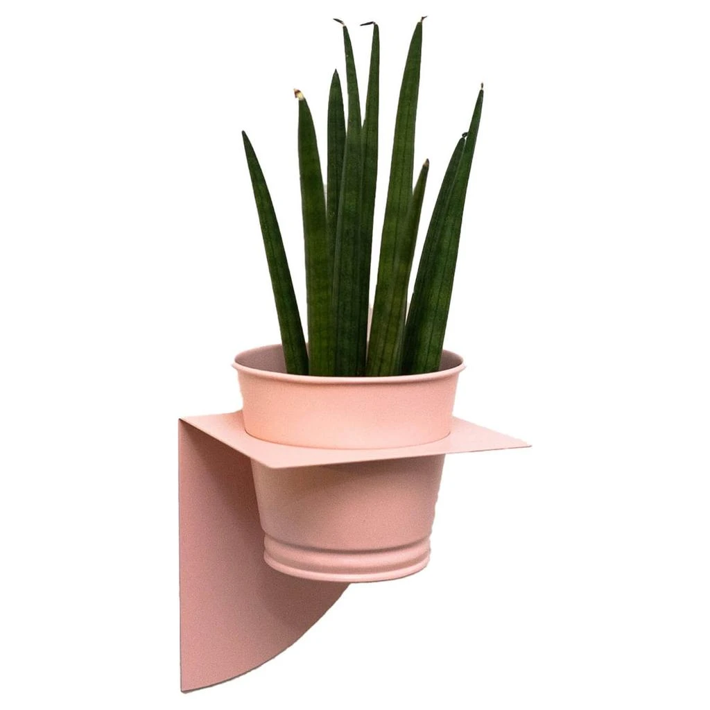 Peg & Board Peg & Board Arc Planter & Pot - Blush Pink 1