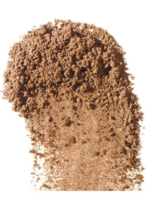 Elizabeth Arden Arden Pure Finish Mineral Foundation 3