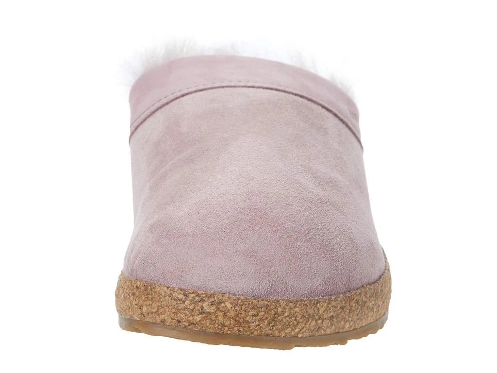 Haflinger Snowbird 6