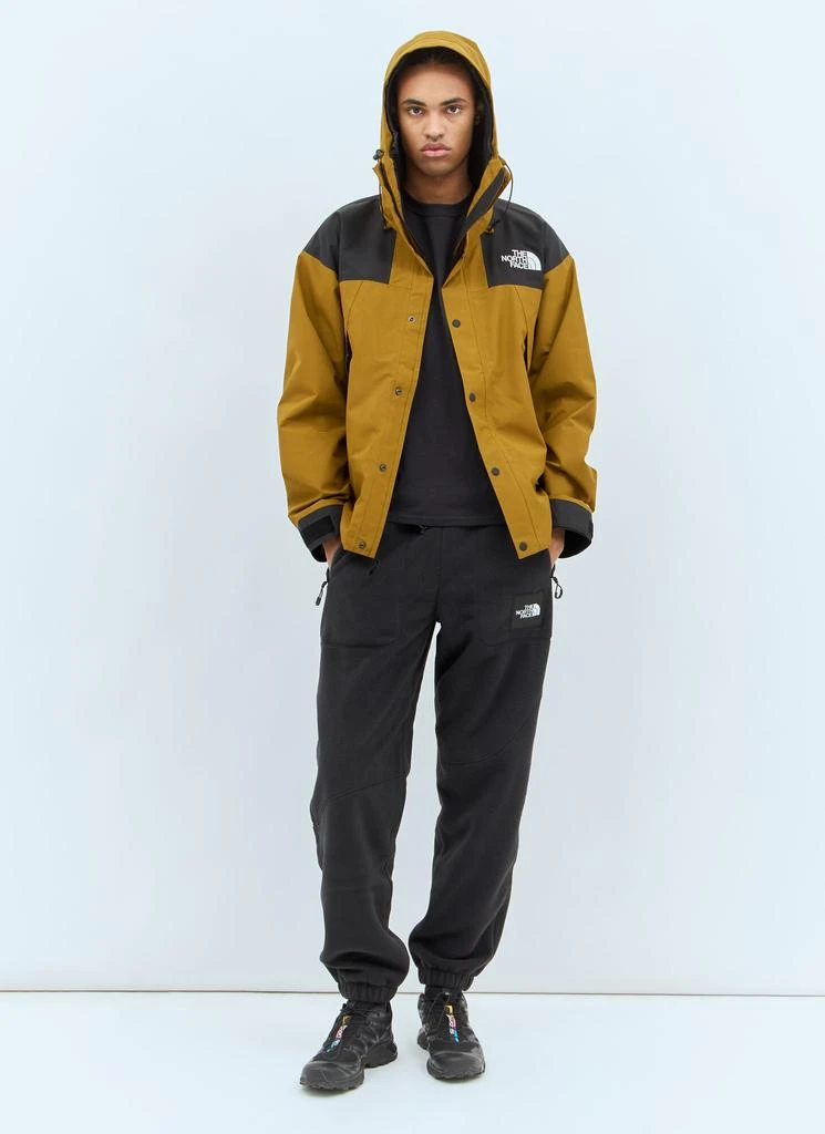The North Face GTX Mountain Jacket 4