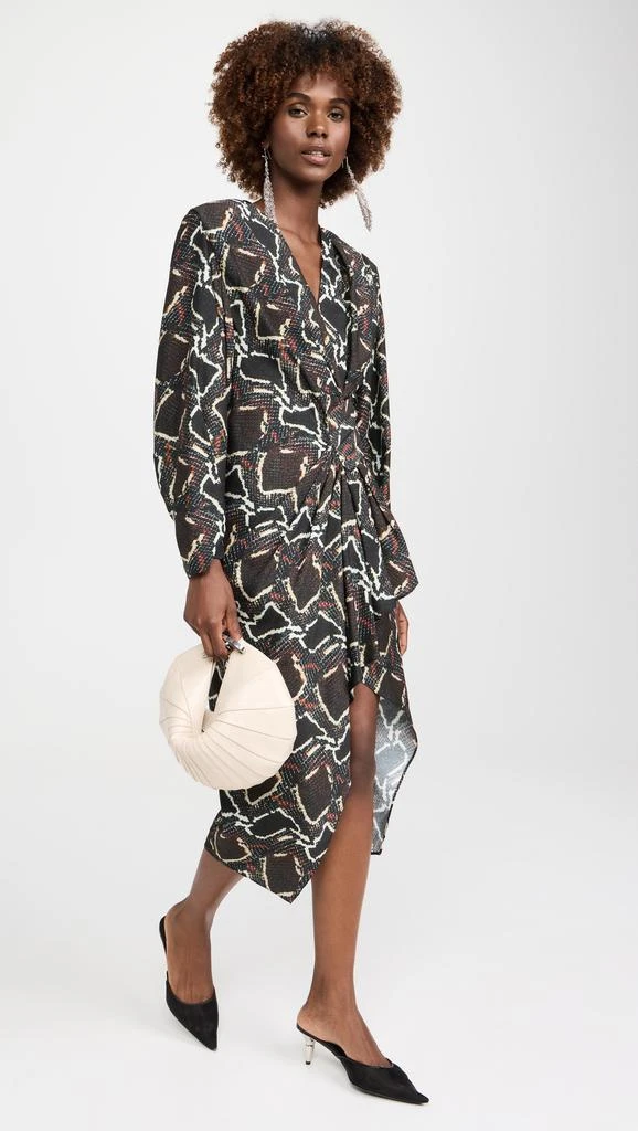 IRO Aurelie Dress 4