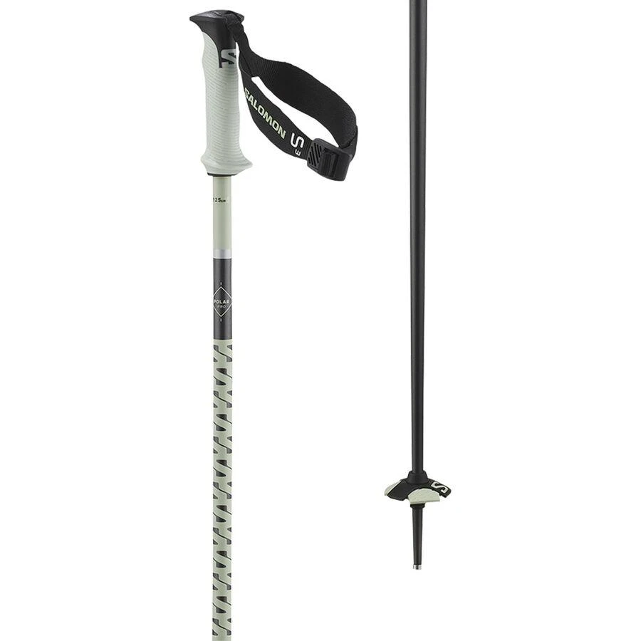 Salomon Polar Pro S3 Ski Poles 1