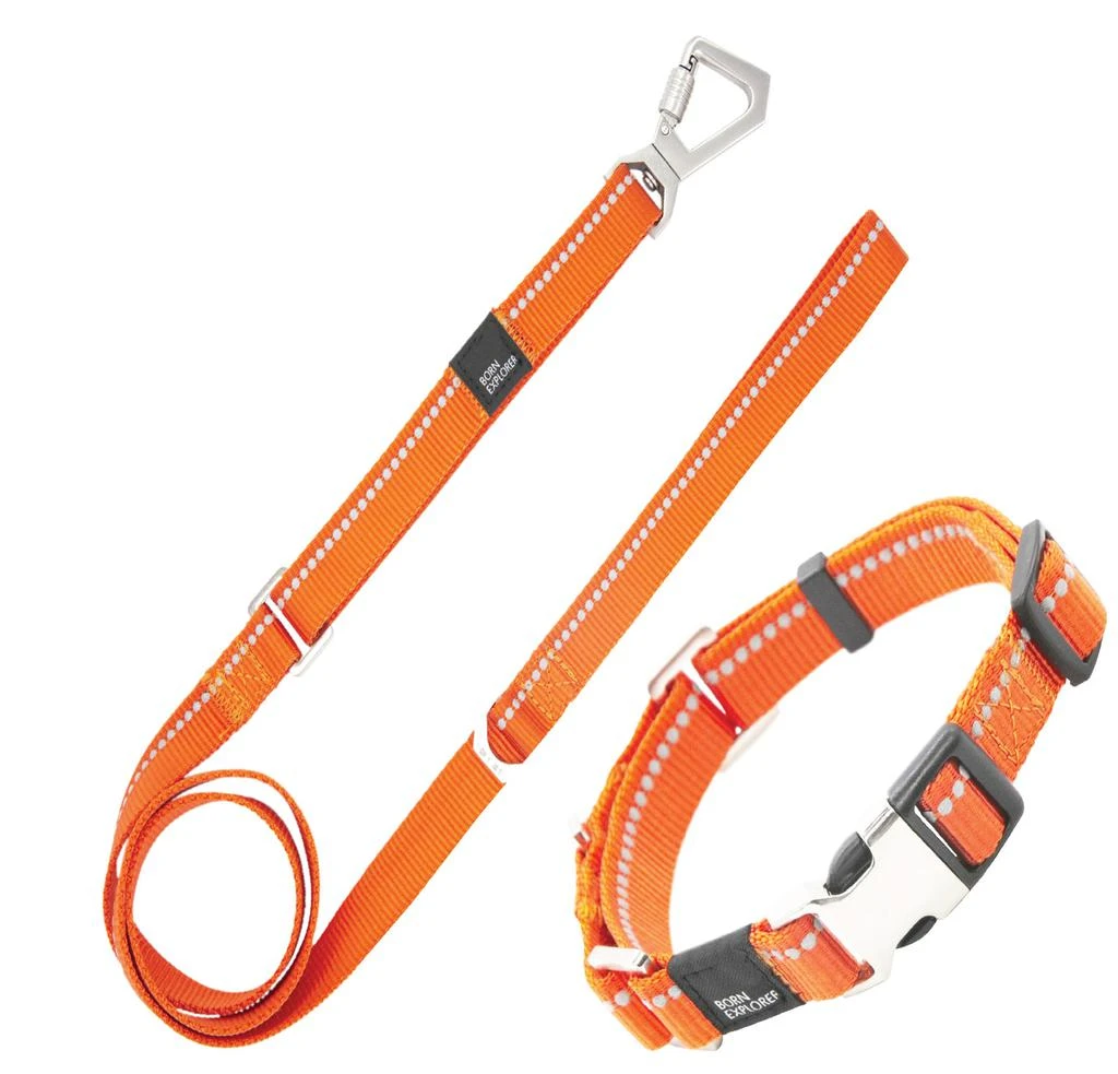 Pet Life Pet Life  'Advent' Outdoor Series 3M Reflective 2-in-1 Durable Martingale Training Dog Leash and Collar 7