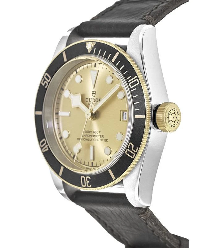 Tudor Tudor Black Bay 41 Steel & Gold Champagne Dial Leather Strap Men's Watch M79733N-0003 3