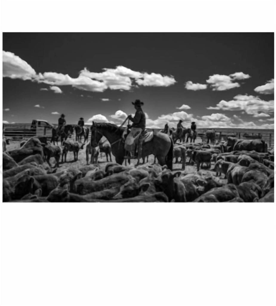 ACC Publishing Ranch Land Book In Black & White 2