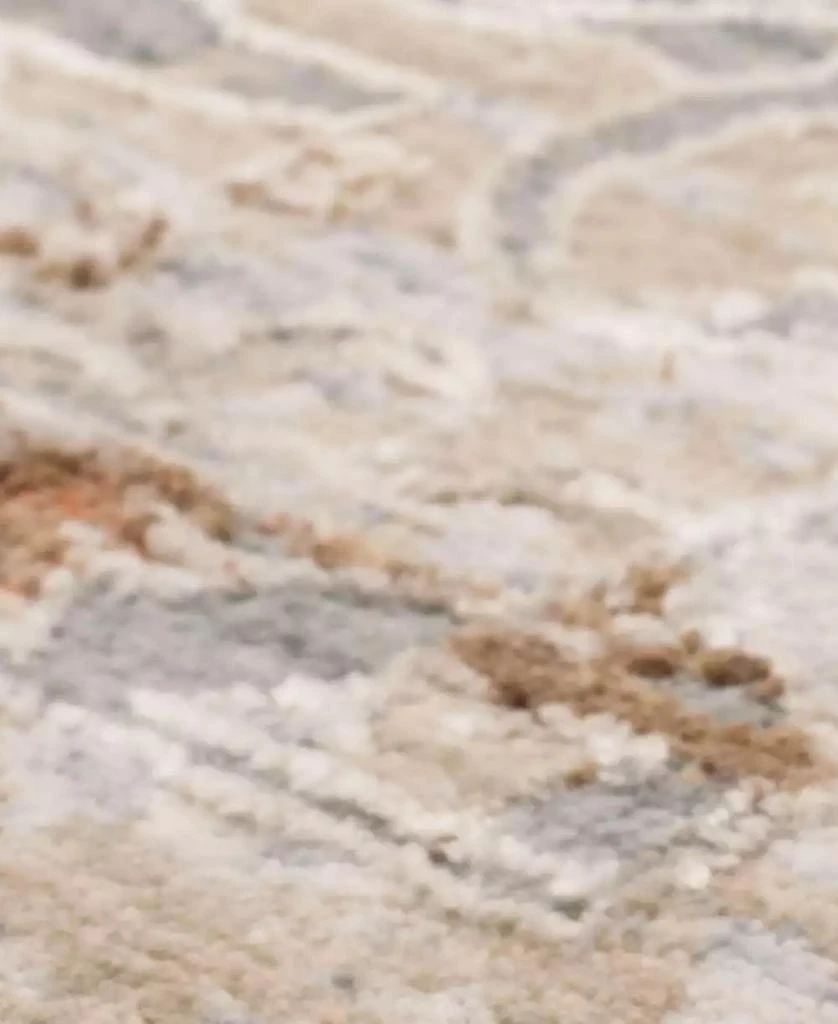 Karastan Solitude Via Salaria 5' x 7'8" Area Rug 3