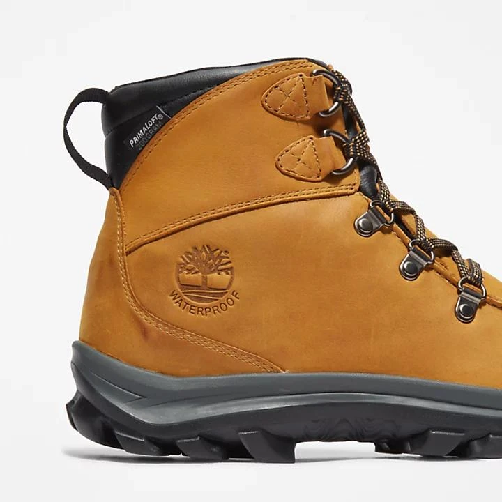 Timberland Chillberg Hiker for Men in Yellow 7