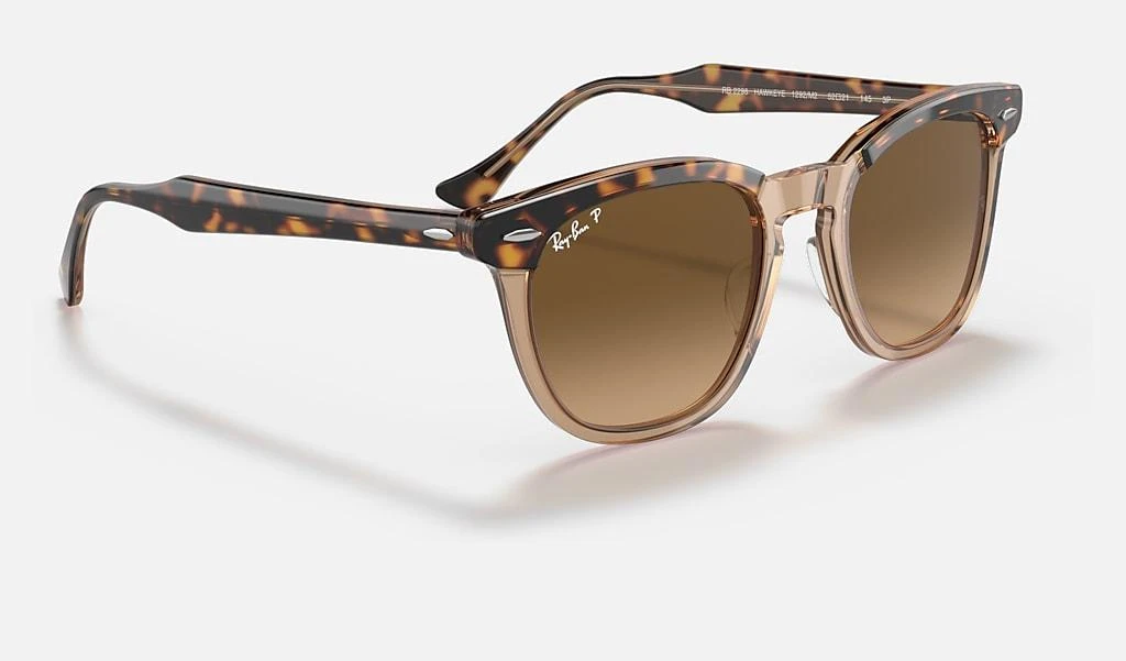 Ray-Ban HAWKEYE 6