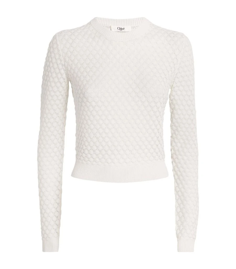 Chloé Cotton Pointelle-Knit Sweater 1