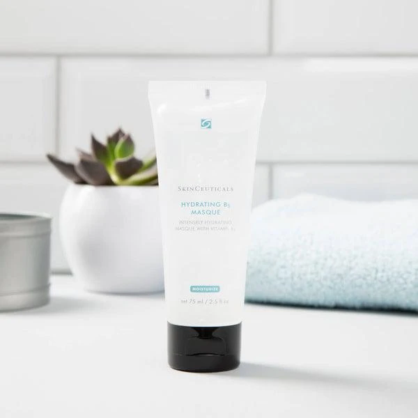 SkinCeuticals SkinCeuticals Hydrating B5 Mask 2