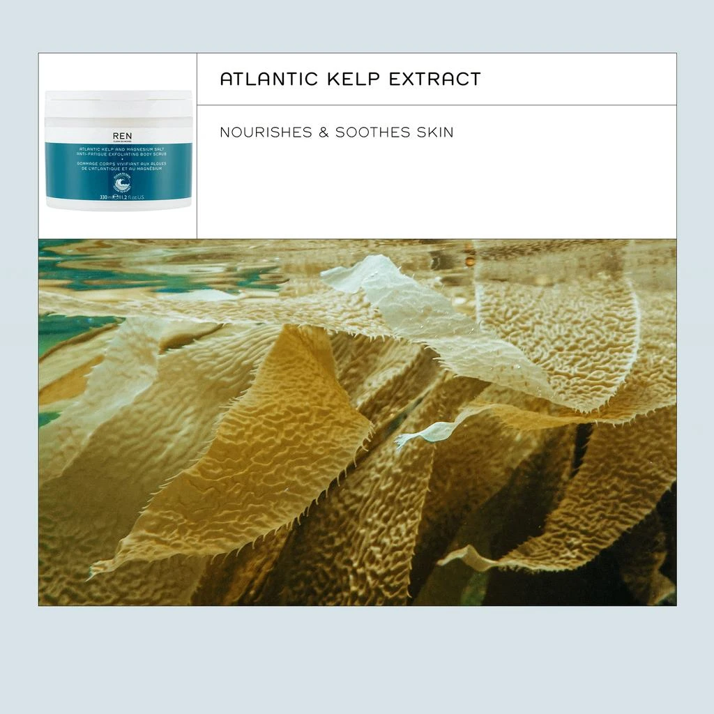 REN Clean Skincare Atlantic Kelp and Magnesium Salt Anti-Fatigue Exfoliating Body Scrub 4