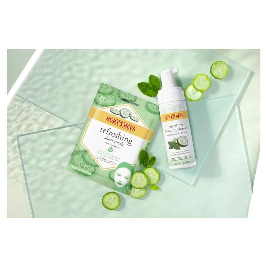 Burt's Bees Refreshing Foaming Face Cleanser Cucumber and Mint 5