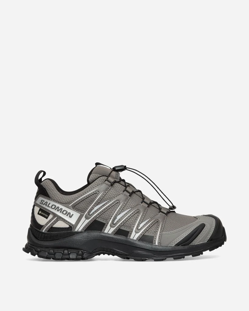 Salomon XA PRO 3D GORE-TEX Sneakers Pewter / Black / Silver Cloud 1