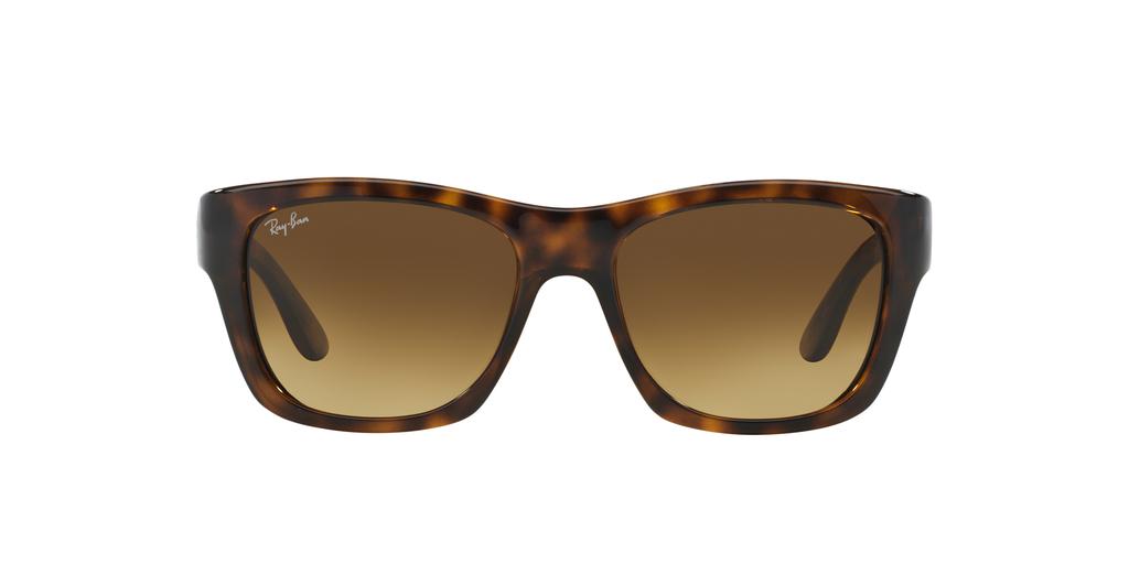 Ray-Ban Ray-Ban Unisex Sunglass RB4194