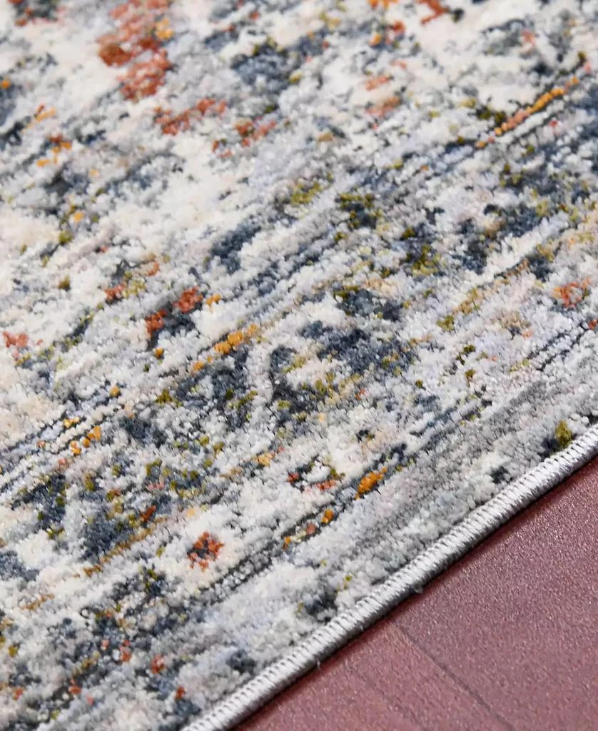 Amer Rugs Vermont Chelsea 2'7" x 8' Runner Area Rug 5