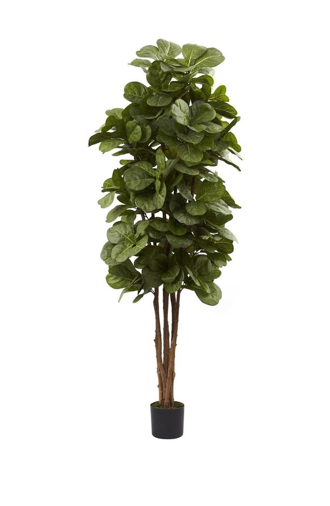NEARLY NATURAL Green 6' Fiddle Leaf Fig Tree