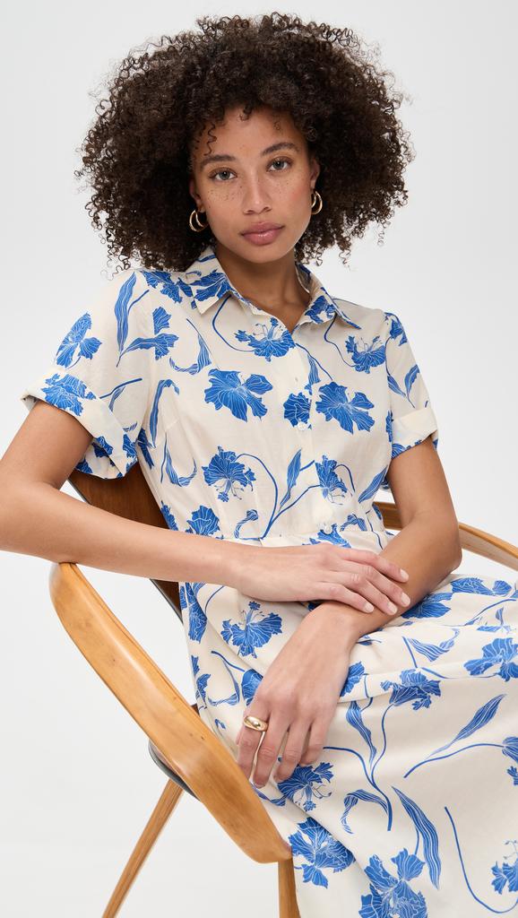 Birds of Paradis Aster Dress