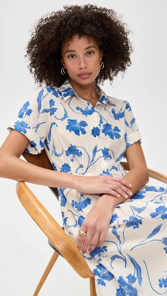 Birds of Paradis Aster Dress 2