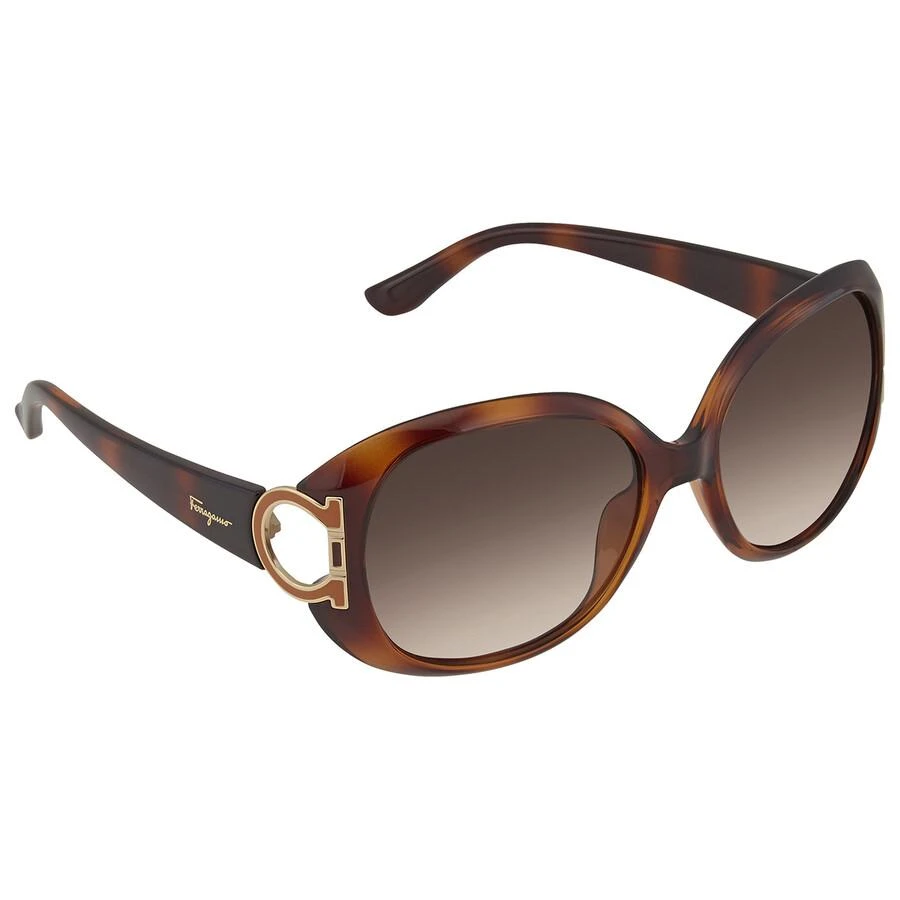 Salvatore Ferragamo Salvatore Ferragamo Brown Gradient Oval Ladies Sunglasses SF668S 238 57 3