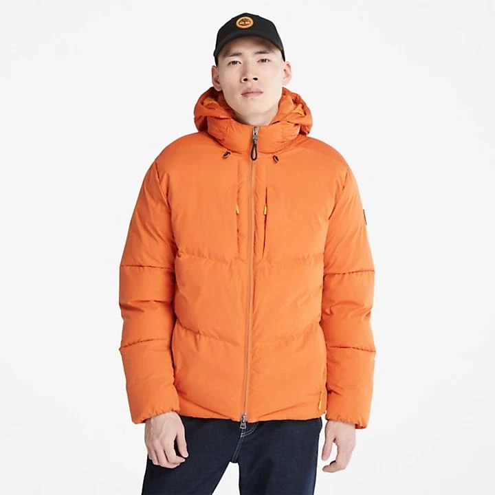 Timberland Neo Summit Hooded Jacket for Men in Brown 1