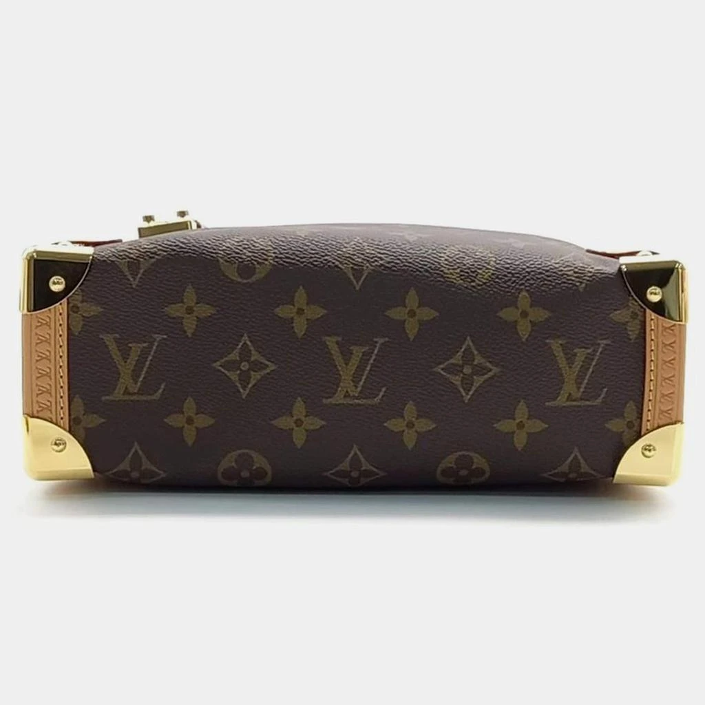Louis Vuitton Louis Vuitton side trunk MM 3