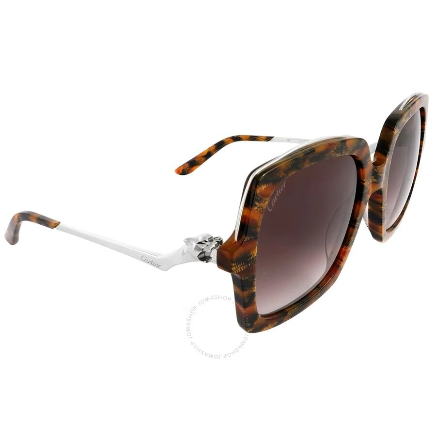 Cartier Cartier Brown Square Ladies Sunglasses CT0117S 003 54 3
