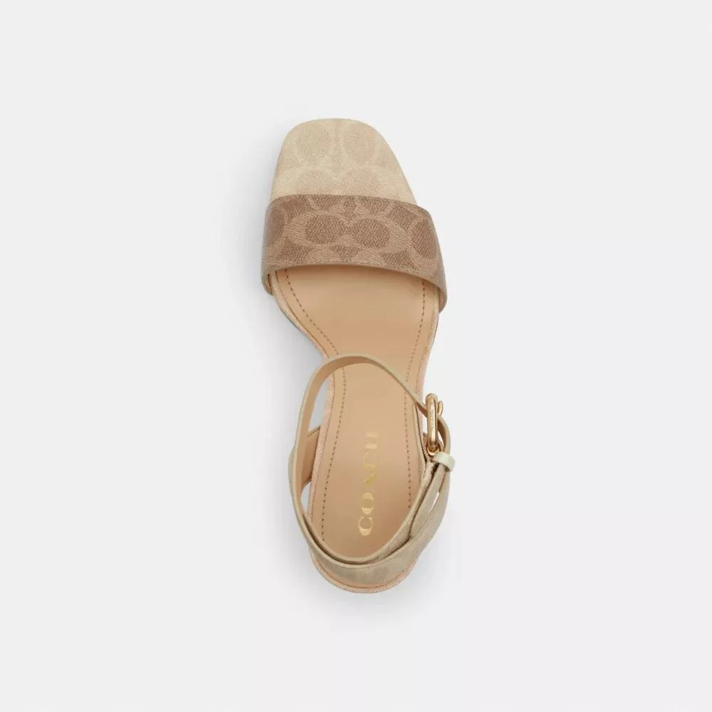 Coach Shelby Sandal In Signature Canvas 3