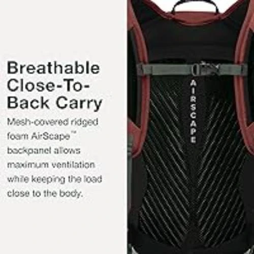 Osprey Osprey Sportlite 20L Unisex Hiking Backpack, Pine Leaf Green 4