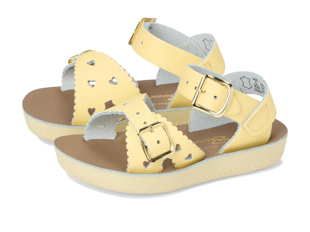 Salt Water Sandal by Hoy Shoes Sweetheart (Toddler/Little Kid) 1