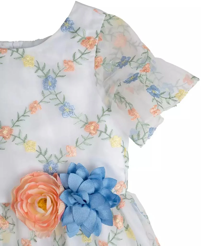 Rare Editions Toddler Girls 3D Floral Embroidered Social Dress 6