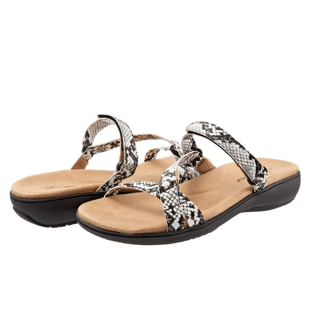 Trotters Raja 1