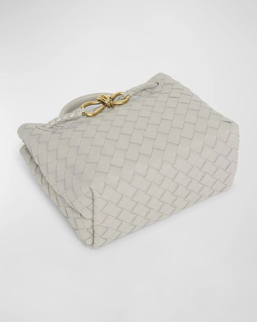 Bottega Veneta Small Andiamo Bag 7