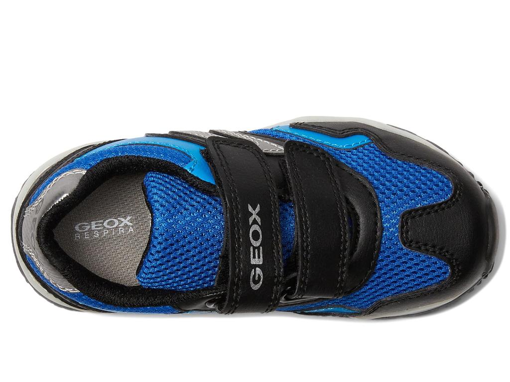 Geox Pavel 35 (Toddler/Little Kid/Big Kid)