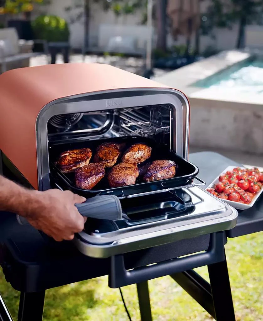 Ninja Woodfire Pizza Oven, 8-in-1 Outdoor Oven, 5 Pizza Settings, Up to 700 Fahrenheit High Heat, BBQ (Barbecue) Smoker - OO101 7