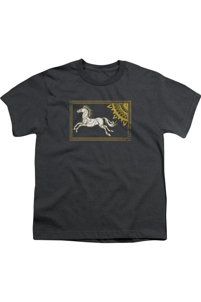 Gildan Lord Of The Rings Rohan Banner Short Sleeve Youth Tee / T-Shirt 1
