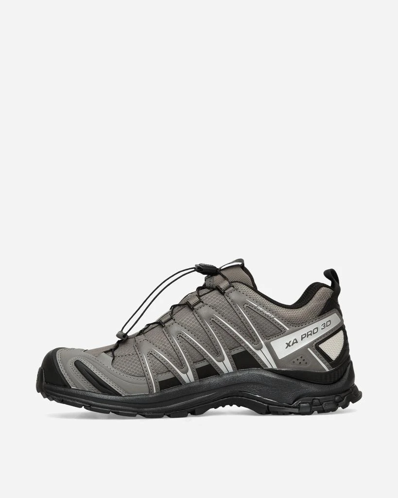 Salomon XA PRO 3D GORE-TEX Sneakers Pewter / Black / Silver Cloud 3