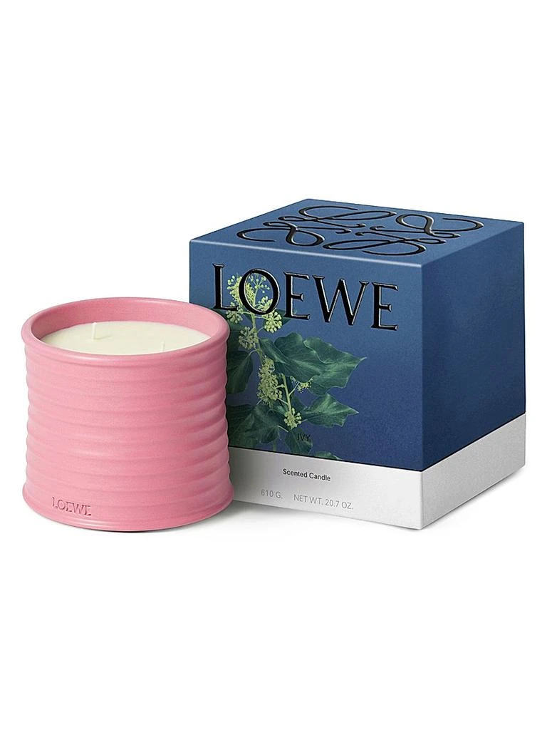 LOEWE Perfumes Ivy Scented Candle 5
