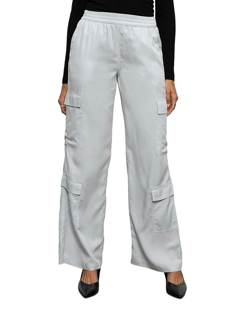 Sanctuary High Rise Cargo Pants 1
