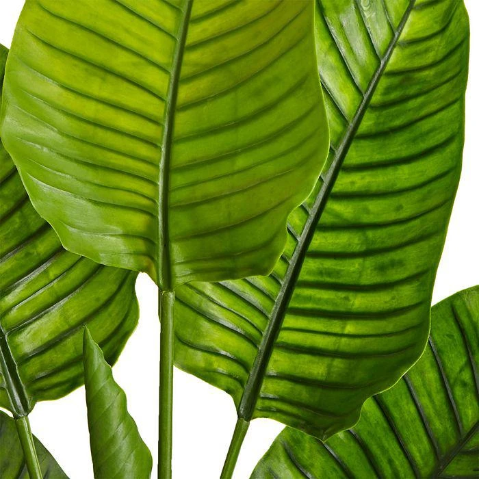 NEARLY NATURAL 60in. Travelers Palm Tree UV Resistant (Indoor/Outdoor) 3