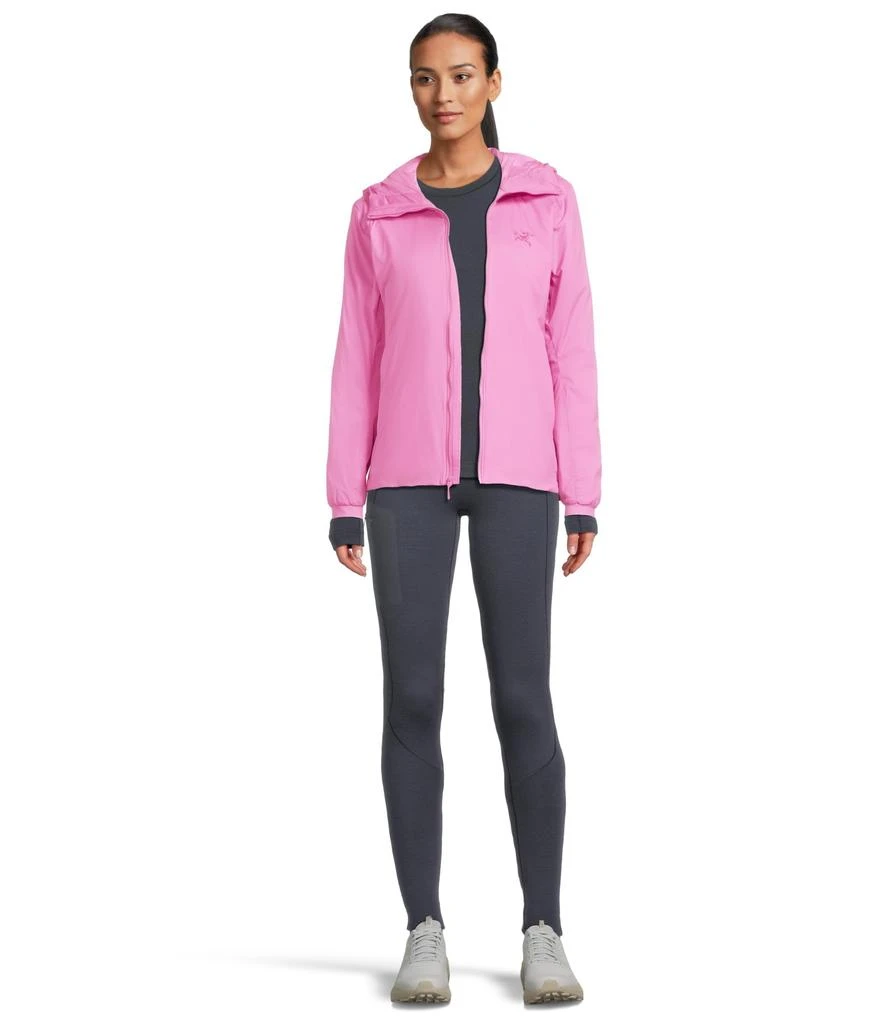 Arc'teryx Atom Hoody 5