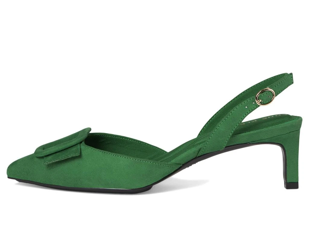 Anne Klein Iva 4