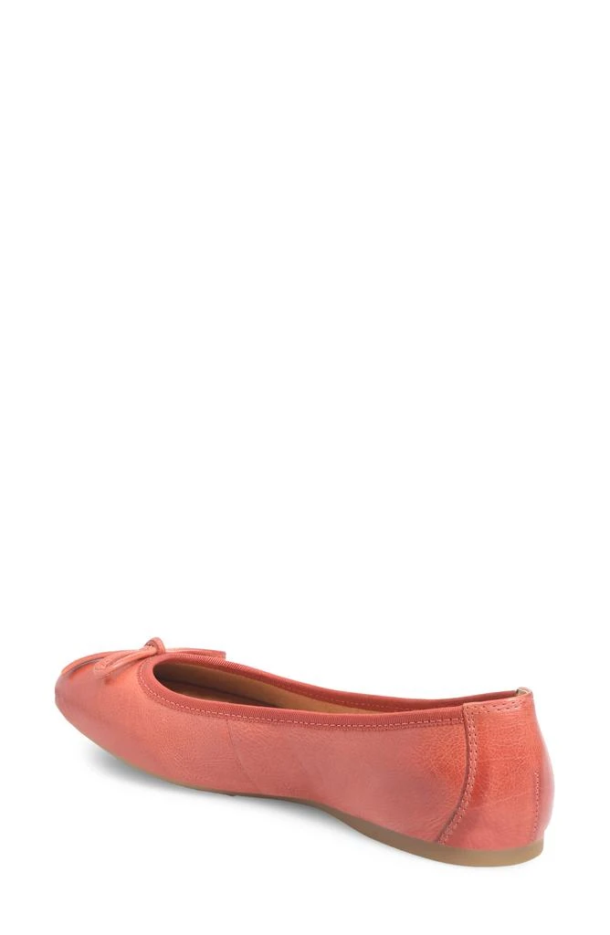 Børn Brin Ballet Flat 2